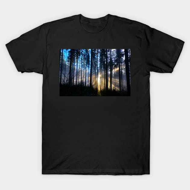 Blinded by the Light T-Shirt by mbangert